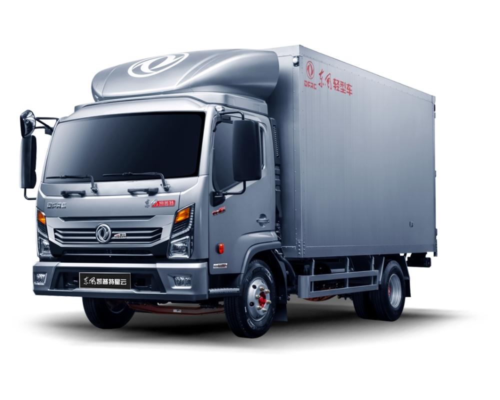 China Light Duty Truck Brand